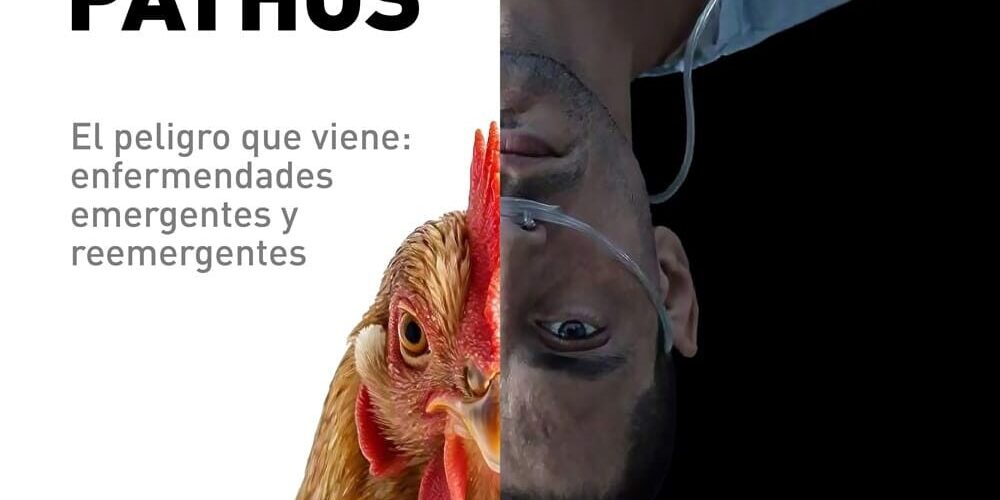 Cartel Phatos 2026