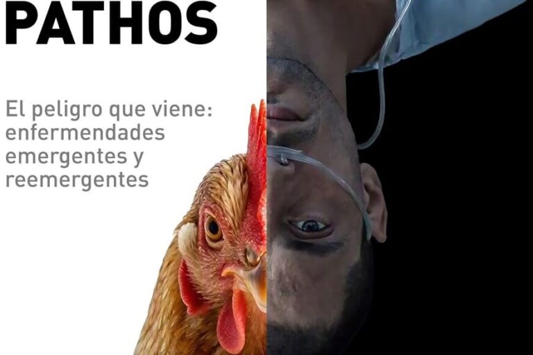 Cartel Phatos 2026