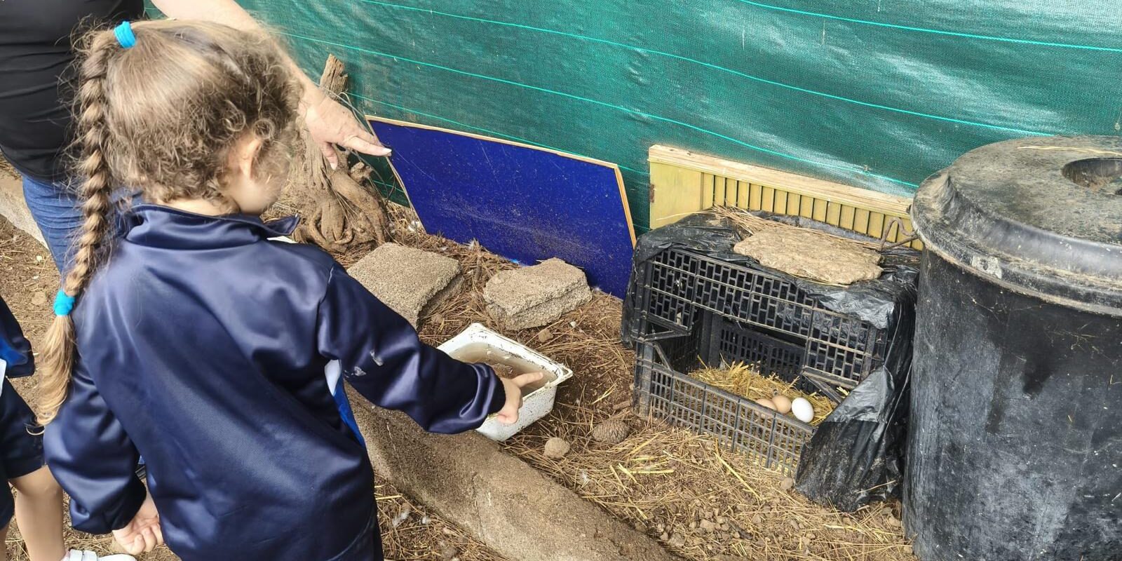 De mano de la presidenta de la AM Casilda conocen el cuidado de animales de corral (4)
