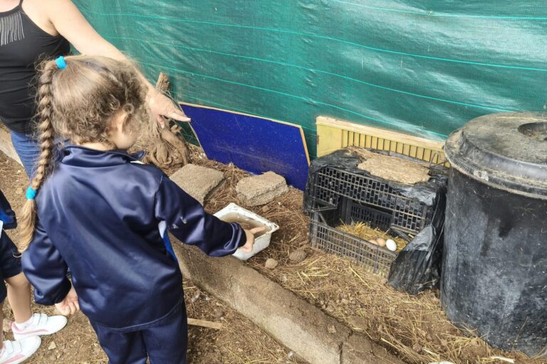 De mano de la presidenta de la AM Casilda conocen el cuidado de animales de corral (4)
