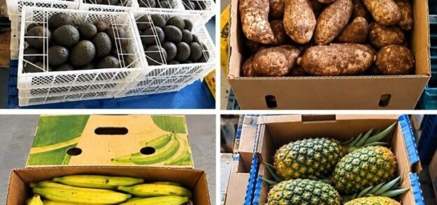 FRUTA INTERVENIDA NP 20 OCTUBRE