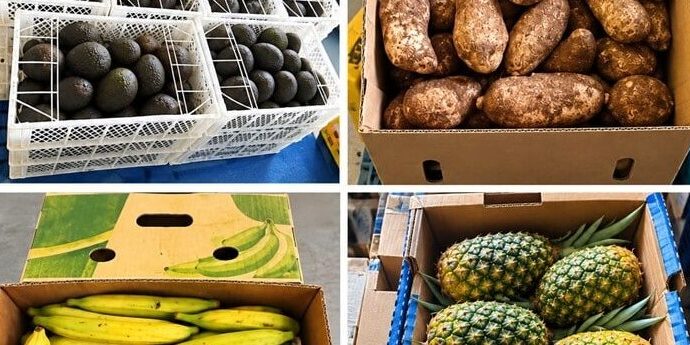 FRUTA INTERVENIDA NP 20 OCTUBRE