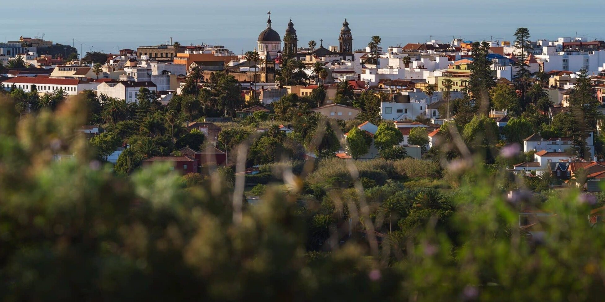 LaLaguna_desde_SanDiego