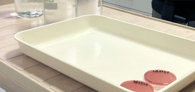 SALUD PÚBLICA INFORMA QUE EL 99 POR CIENTO DE LAS ZONAS DE AGUAS DE BAÑO DE TENERIFE TIENEN CALIFICACIÓN DE ASPTAS 5-10-26