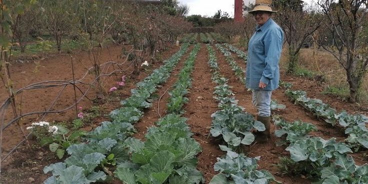 mujer rural en La Orotava